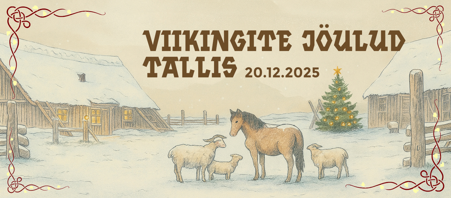 Viikingite jöulud tallis