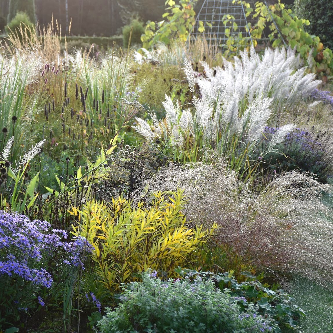 Kõrrelised aiakujunduses