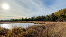 Ruusmetsa järv videviku ootel