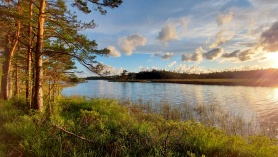 Ruusmetsa järv ehk Seajärv