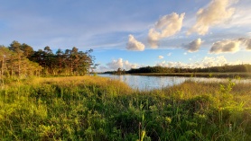 Ruusmetsa järv ehk Seajärv