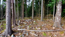 Muinasaegsed kivikonstruktsioonid Megamaniidi metsas