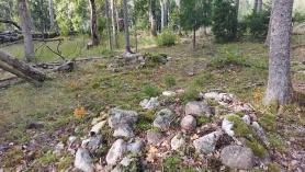 Muinasaegne kivikuhjatis Megamaniidi metsas
