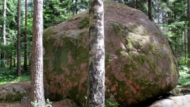 Suure-Tõllu kerisekivi Raka metsas